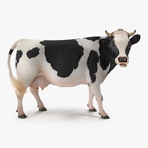 3D model dairy cow fur rigged