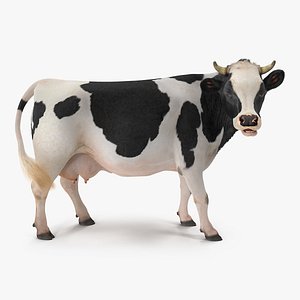 Dairy Cow with Fur Rigged