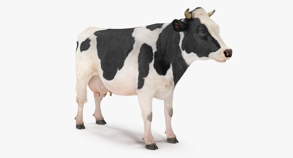 3D model dairy cow fur rigged - TurboSquid 1257280