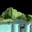 Floating Island