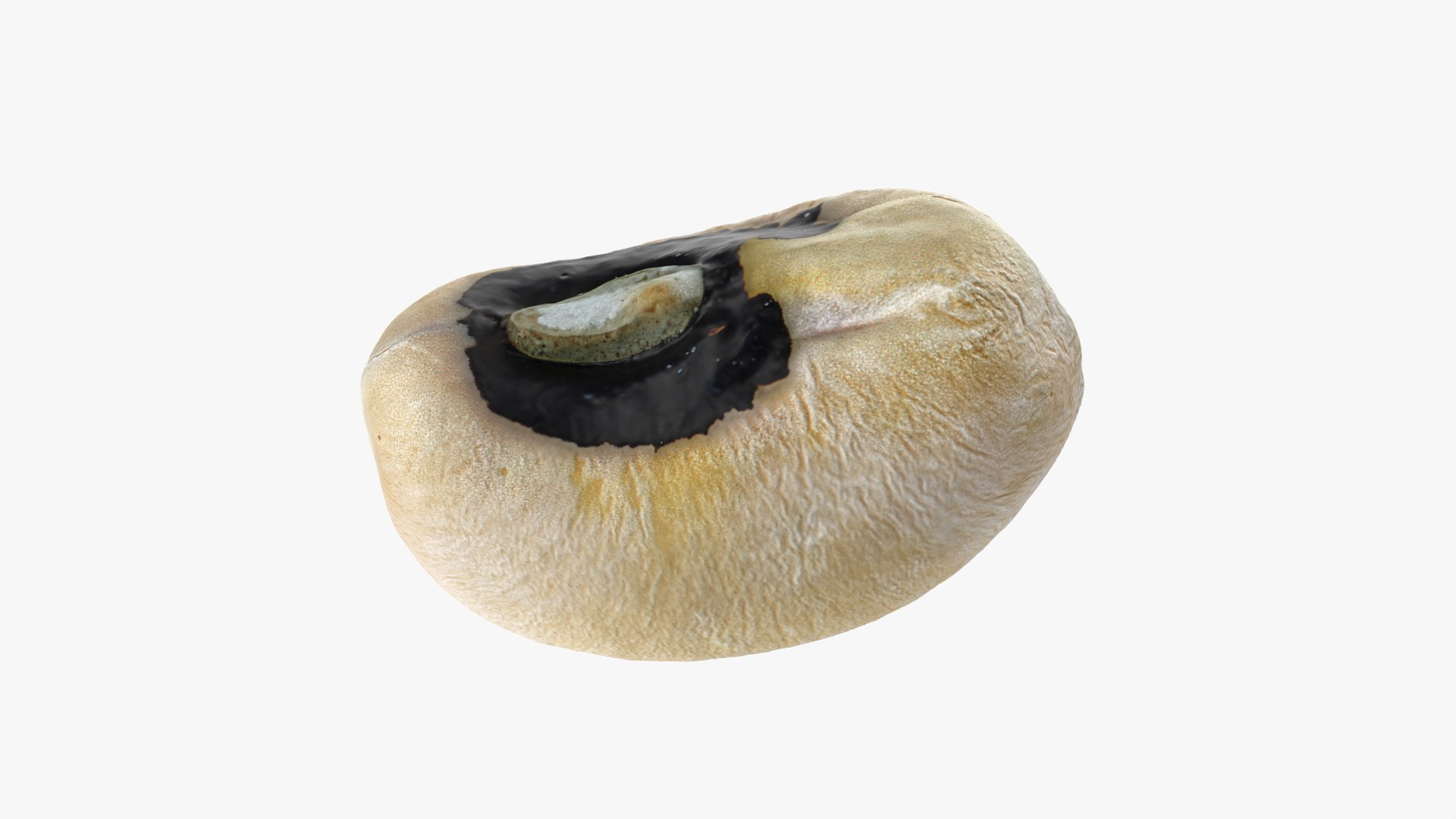 3D Black Eyed 01 model https://p.turbosquid.com/ts-thumb/Tr/W24P5n/0y/blackeyed01_0010/png/1764950701/1920x1080/fit_q87/c84389636d4929f3e9a0394bed86680a823c5734/blackeyed01_0010.jpg