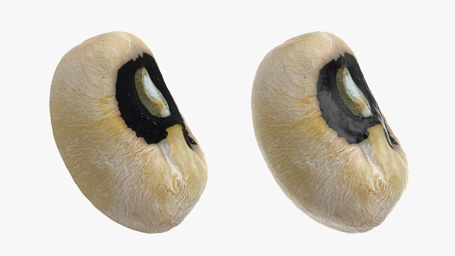 3D Black Eyed 01 model https://p.turbosquid.com/ts-thumb/Tr/W24P5n/2R/blackeyed01_0001b/png/1764950681/1920x1080/fit_q87/9ed92f90748433a66a3acc473c0115d7d8c0f0ce/blackeyed01_0001b.jpg