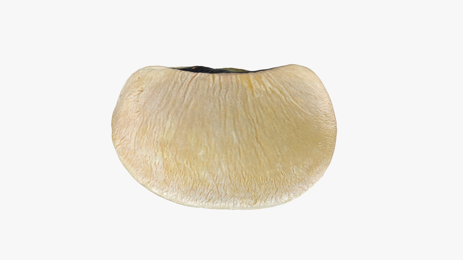 3D Black Eyed 01 model https://p.turbosquid.com/ts-thumb/Tr/W24P5n/R9/blackeyed01_0008/png/1764950693/1920x1080/fit_q87/fce3528f6ea4472a9a80a0f453b2077813140683/blackeyed01_0008.jpg