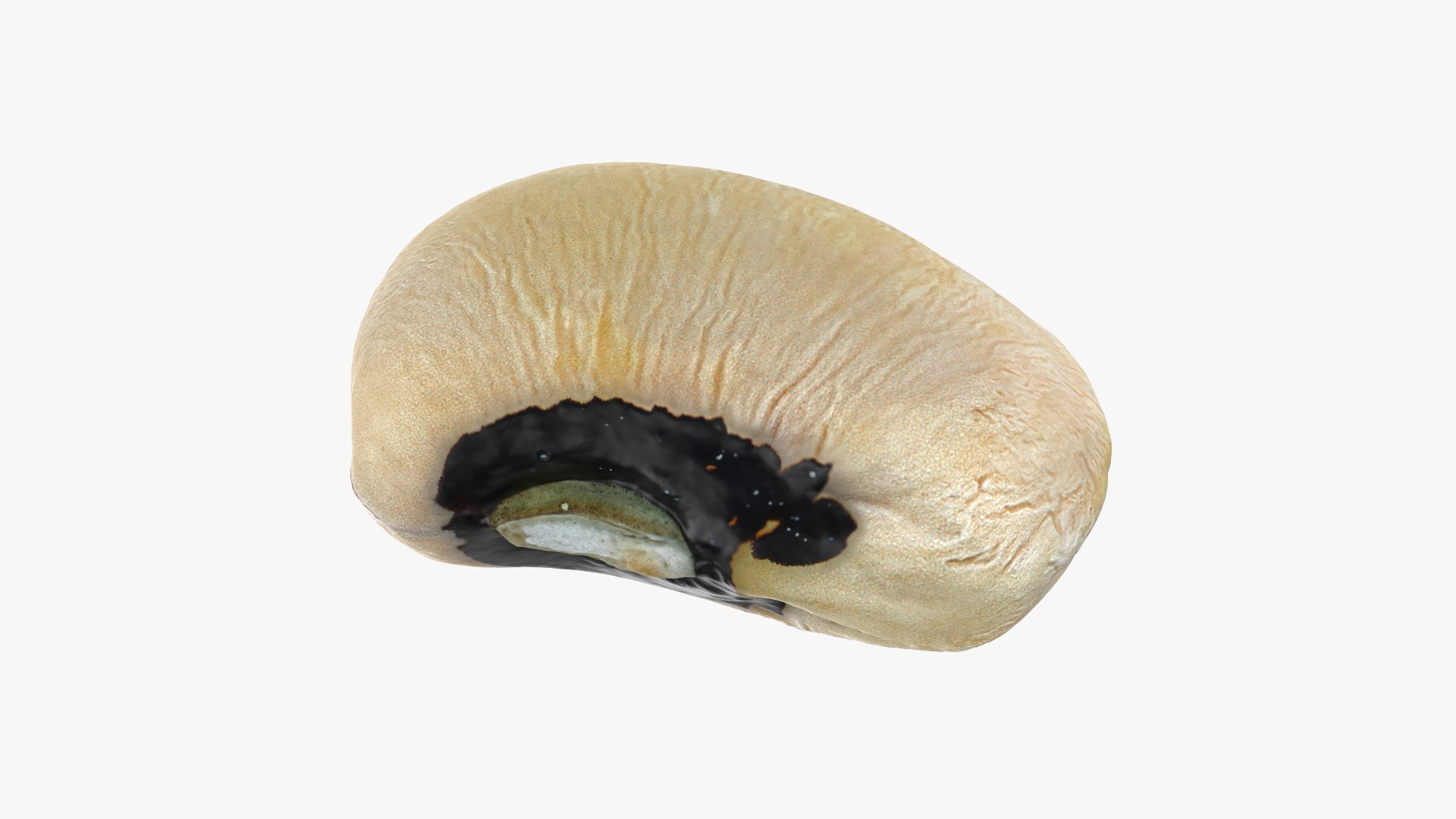 3D Black Eyed 01 model https://p.turbosquid.com/ts-thumb/Tr/W24P5n/U6/blackeyed01_0003/png/1764950690/1920x1080/fit_q87/18939784f26870c38a7b38e527e9677d450baccf/blackeyed01_0003.jpg