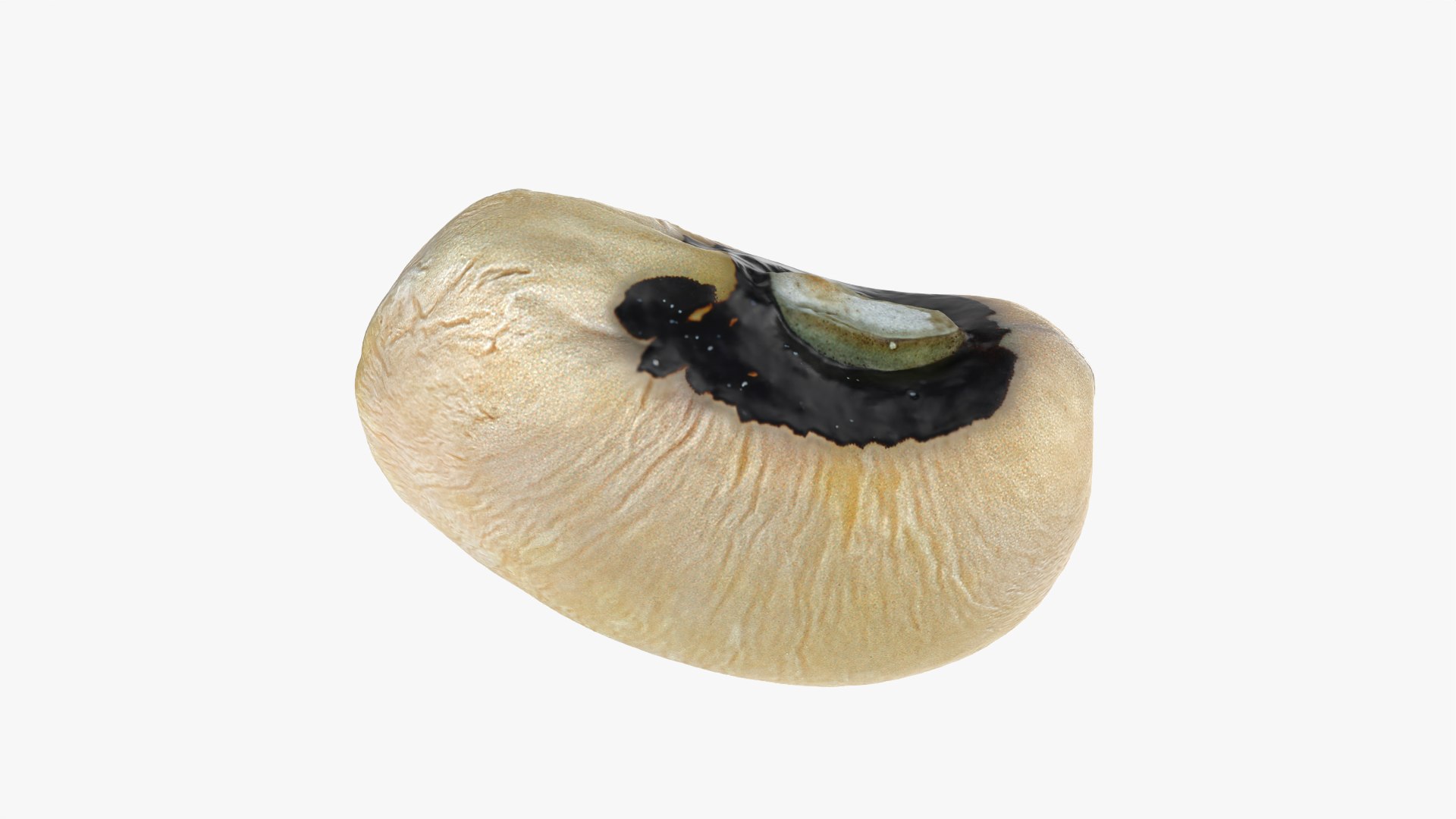 3D Black Eyed 01 model https://p.turbosquid.com/ts-thumb/Tr/W24P5n/YL/blackeyed01_0002/png/1764950680/1920x1080/fit_q87/4459566d580daad4a5c3f56e2b4eb52a0258aabf/blackeyed01_0002.jpg