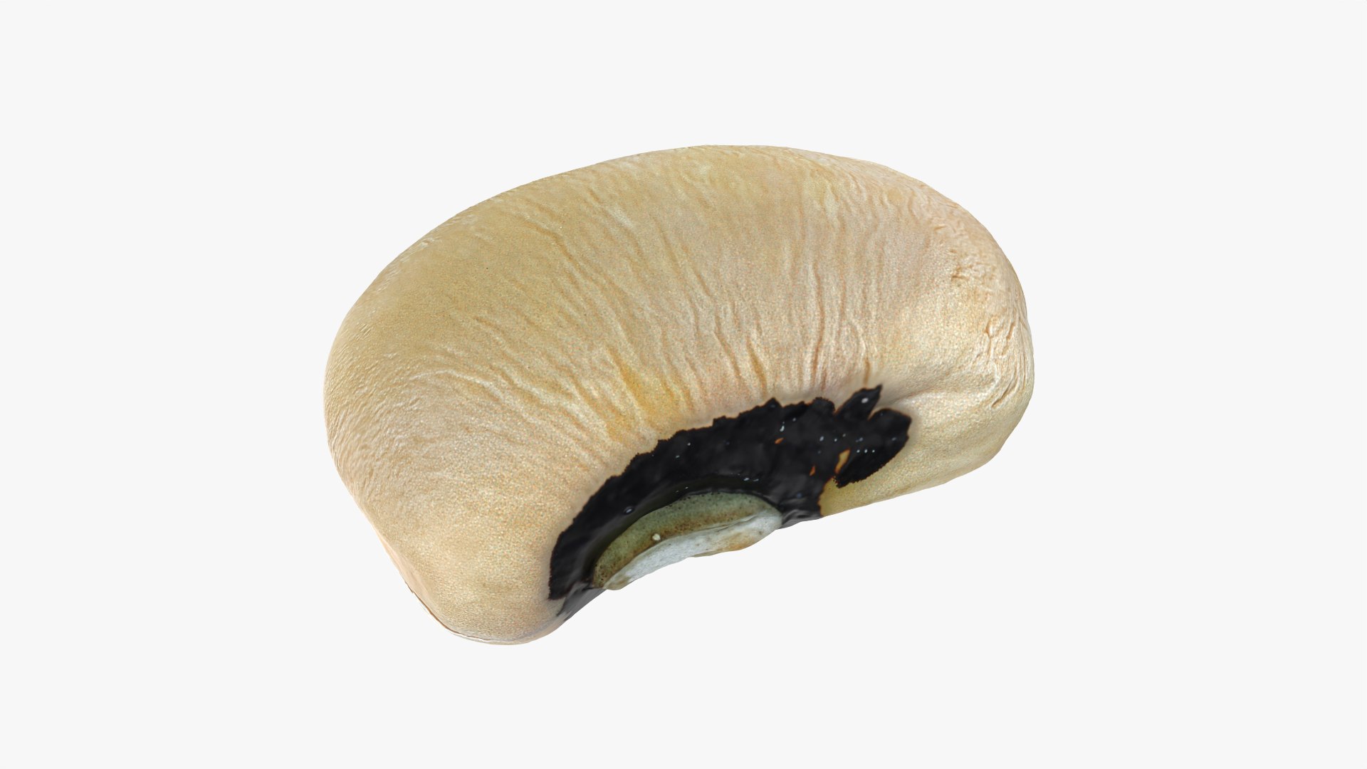 3D Black Eyed 01 model https://p.turbosquid.com/ts-thumb/Tr/W24P5n/fC/blackeyed01_0001/png/1764950678/1920x1080/fit_q87/2dd6fead984434b37410a6c76139cbcd43267c0d/blackeyed01_0001.jpg