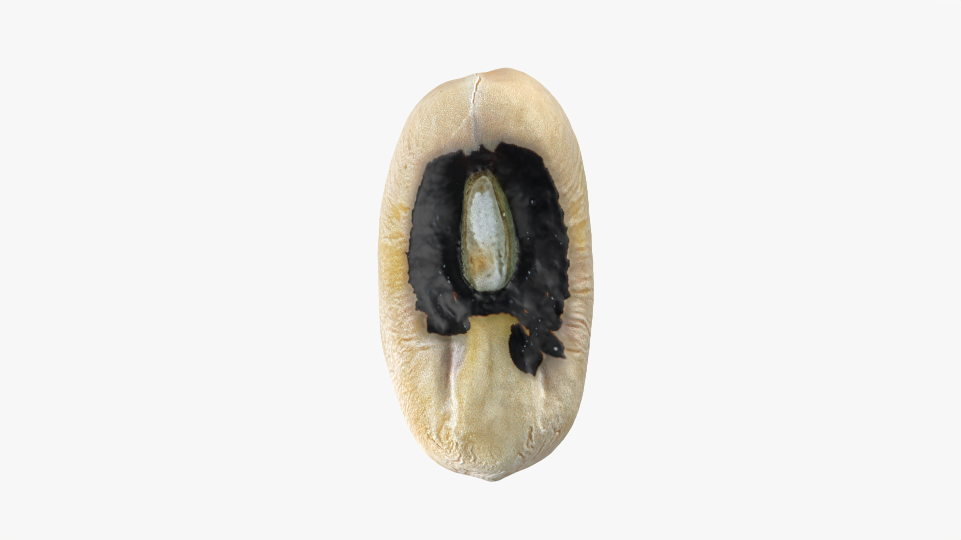 3D Black Eyed 01 model https://p.turbosquid.com/ts-thumb/Tr/W24P5n/uK/blackeyed01/png/1765599798/1920x1080/turn_fit_q99/d59934329801af8436af3a5144b9acf42e30e34f/blackeyed01-1.jpg