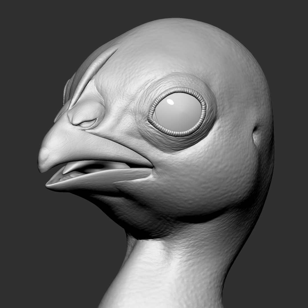병아리 아기 지브러쉬 3D 모델 - TurboSquid 1764709