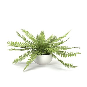 Faux Potted Fern Plant 10in PBR