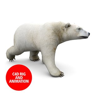 3d c4d polar bear animation