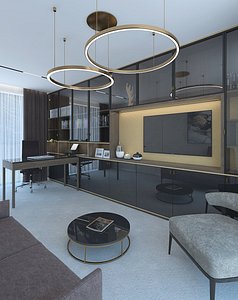 Luxurious work room