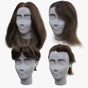 Particle 3D Hair Collection Blender 3D model