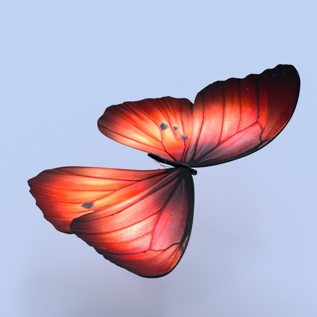 Fantasy Butterfly 3D - TurboSquid 1331198