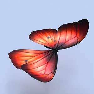 fantasy butterfly 3D