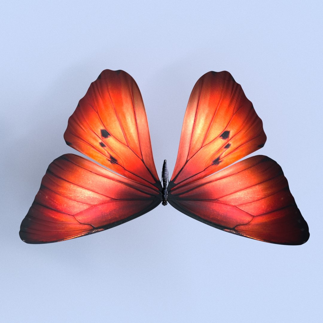 Fantasy Butterfly 3D - TurboSquid 1331198