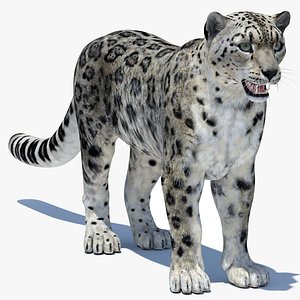 Snow Leopard 2