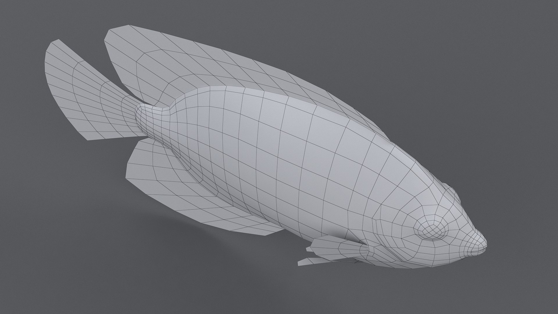 centropyge coral reef fish 3D https://p.turbosquid.com/ts-thumb/Ts/khI6m7/5XiFswSC/centropyge_14/jpg/1578666658/1920x1080/fit_q87/b4fd6b5532e7692a2cc3f7dc2b52a22f4603fcea/centropyge_14.jpg