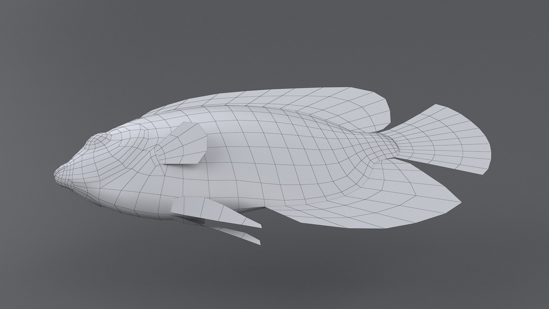 centropyge coral reef fish 3D https://p.turbosquid.com/ts-thumb/Ts/khI6m7/Eme4c3Wp/centropyge_13/jpg/1578666658/1920x1080/fit_q87/c7964c6136f09a61df05b4c2a85317bc2c9b17d6/centropyge_13.jpg