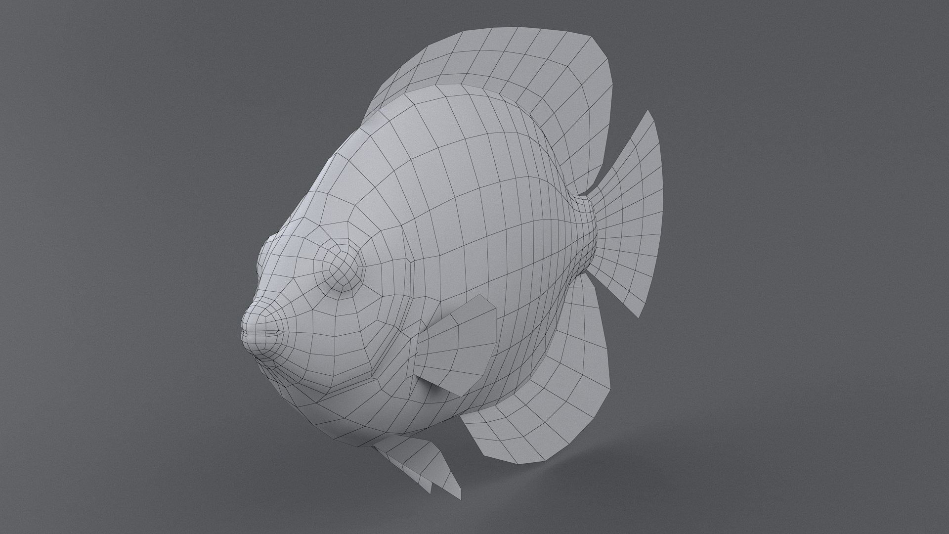 centropyge coral reef fish 3D https://p.turbosquid.com/ts-thumb/Ts/khI6m7/KsrI04zT/centropyge_11/jpg/1578666658/1920x1080/fit_q87/5dc3142a5a5b817c7ed93306bc258b5d3072e7bd/centropyge_11.jpg