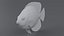 Centropyge Coral Reef Fish