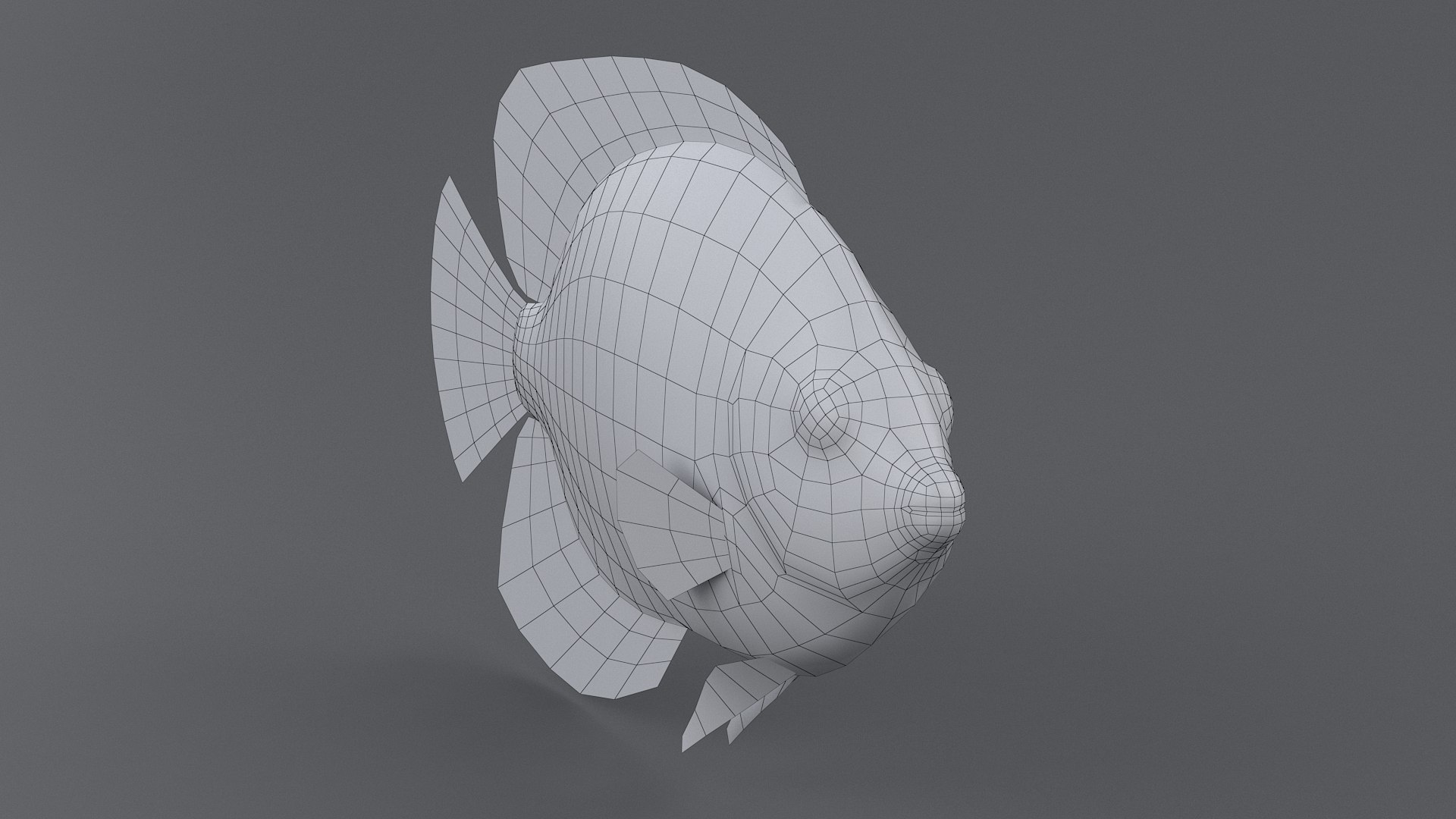 centropyge coral reef fish 3D https://p.turbosquid.com/ts-thumb/Ts/khI6m7/LCMdlUW1/centropyge_10/jpg/1578666658/1920x1080/fit_q87/3efe55fb20b81c132426e424bb3e7eb87efb18e9/centropyge_10.jpg