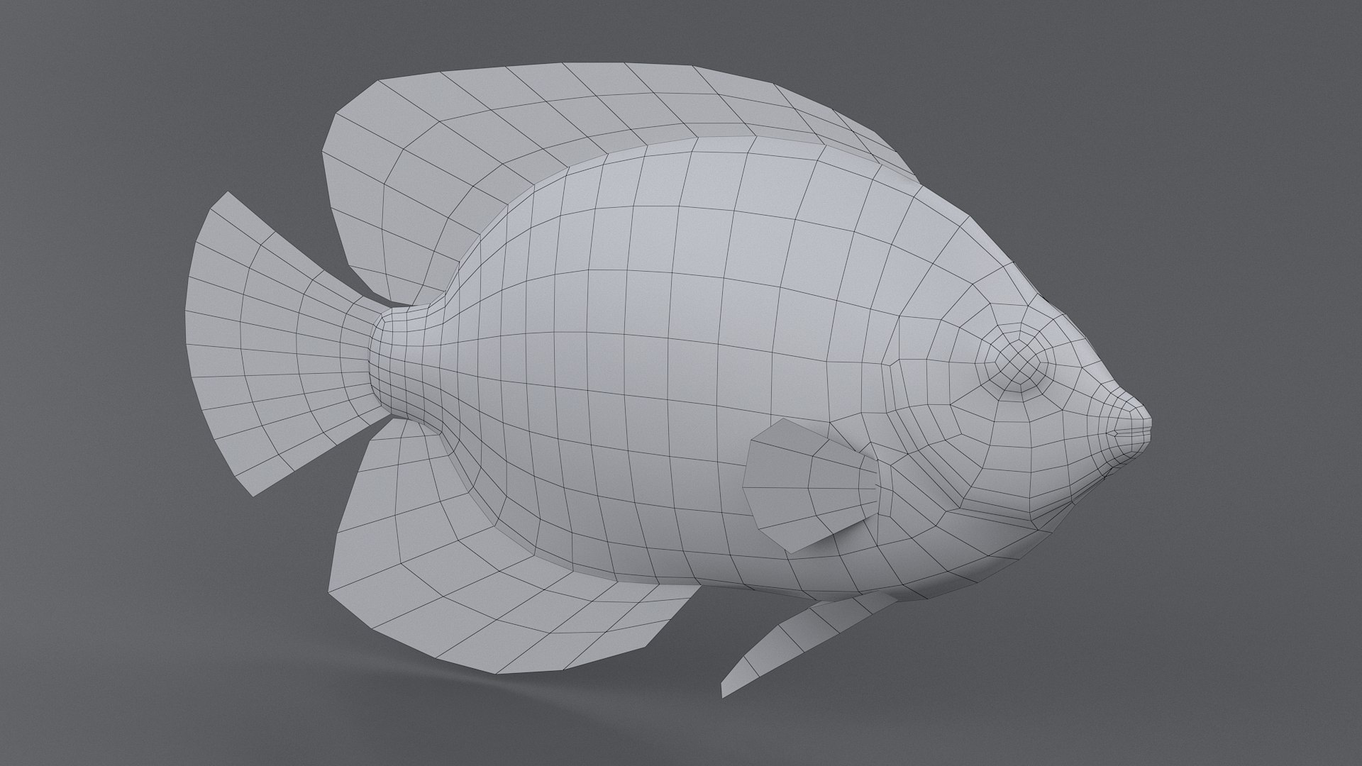 Centropyge coral reef fish 3D - TurboSquid 1493020