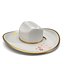 Alberta Canada Souvenir 22k Gold Cowboy ceramic Hat