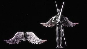 Angel wings fifth animated