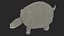 Red Eared Slider Turtle