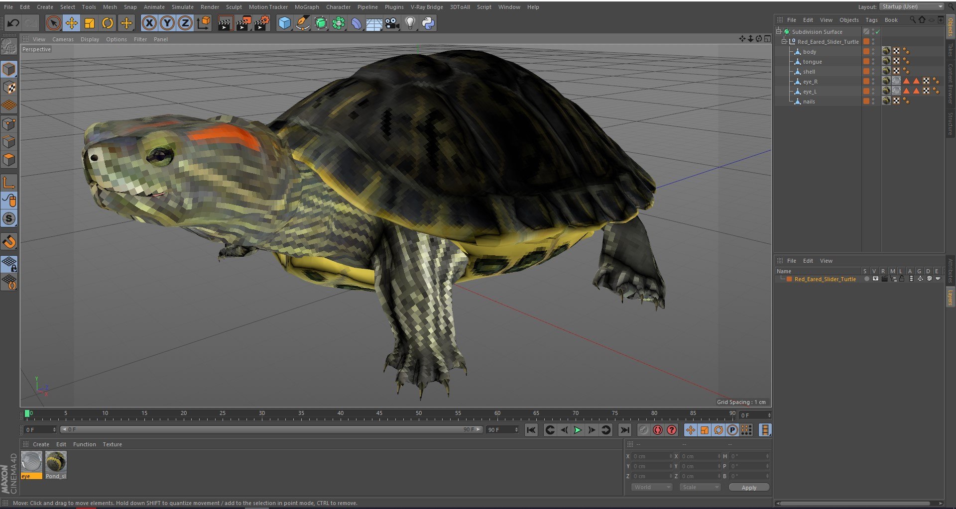 Red Eared Slider Turtle model https://p.turbosquid.com/ts-thumb/Tt/BGjJ3m/NL/redearedsliderturtlemb3dmodel023/jpg/1699617496/1920x1080/fit_q87/0c24790b23411cae0a79125058d6c5a29d60132d/redearedsliderturtlemb3dmodel023.jpg