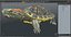 Red Eared Slider Turtle
