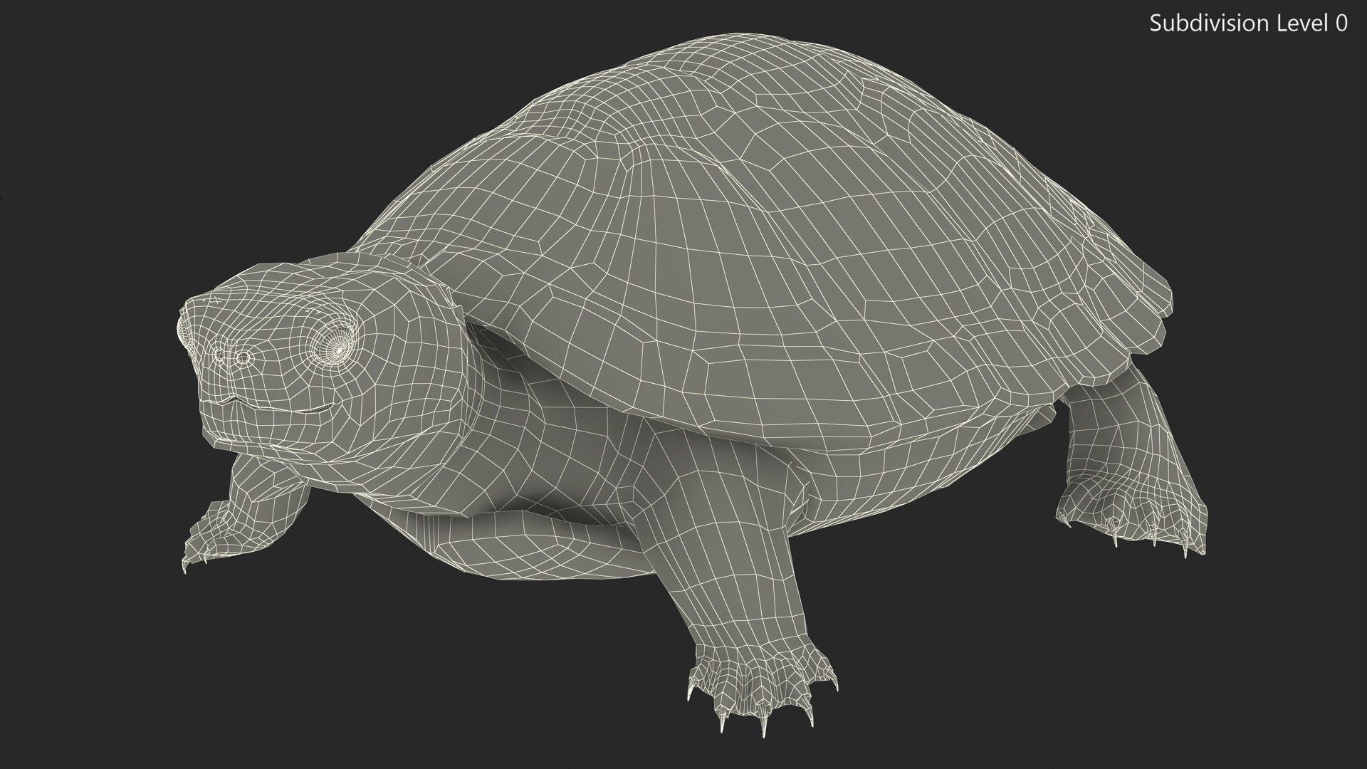Red Eared Slider Turtle model https://p.turbosquid.com/ts-thumb/Tt/BGjJ3m/kM/redearedsliderturtlemb3dmodel016/jpg/1699617463/1920x1080/fit_q87/2531f2a60c6f3d6a5401bceb26619ca996b99900/redearedsliderturtlemb3dmodel016.jpg