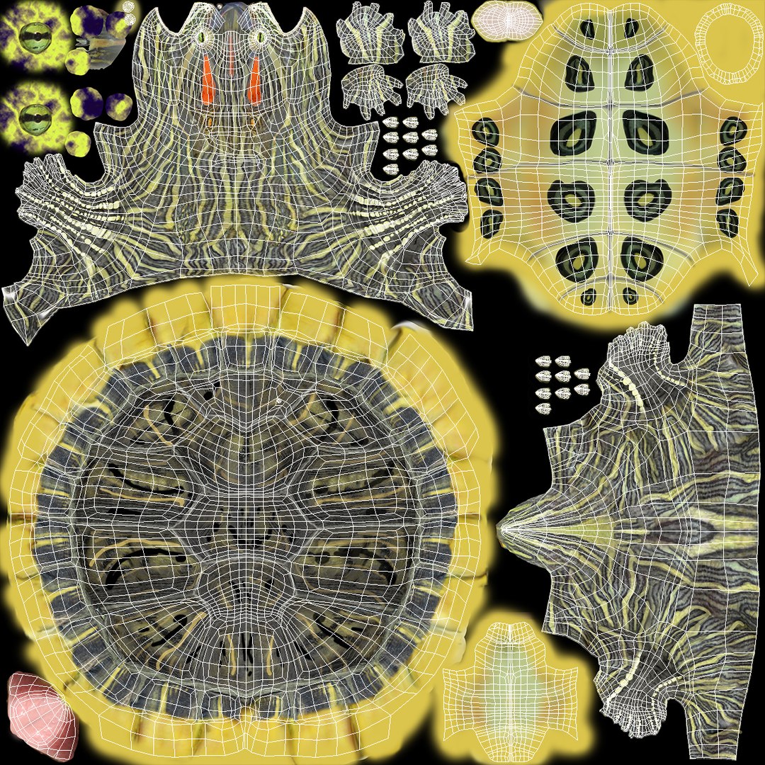 Red Eared Slider Turtle model https://p.turbosquid.com/ts-thumb/Tt/BGjJ3m/la/redearedsliderturtlemb3dmodel018/jpg/1699617472/1920x1080/fit_q87/dd587707af6589d6a801ee71a63b700c4c1de99d/redearedsliderturtlemb3dmodel018.jpg