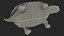 Red Eared Slider Turtle