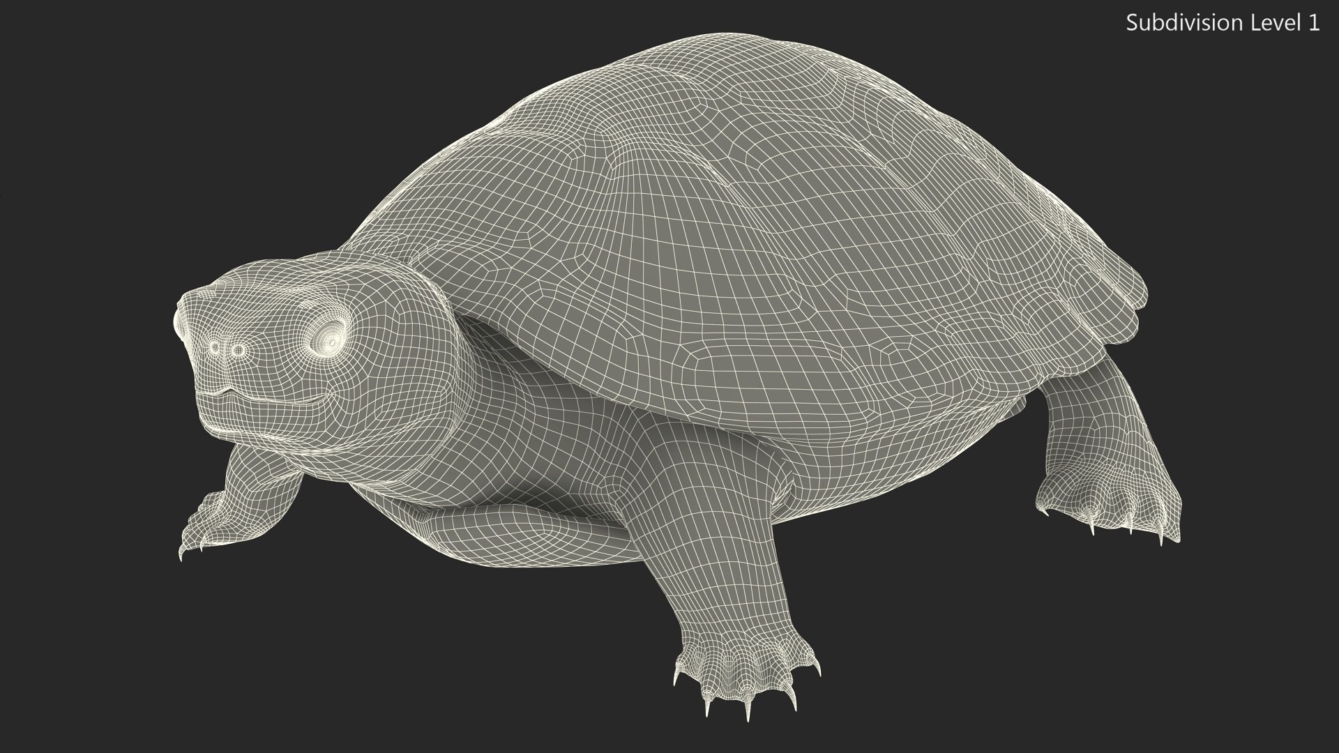 Red Eared Slider Turtle model https://p.turbosquid.com/ts-thumb/Tt/BGjJ3m/um/redearedsliderturtlemb3dmodel017/jpg/1699617468/1920x1080/fit_q87/38504a2692bdb9b672f02f500176c12f84642a35/redearedsliderturtlemb3dmodel017.jpg