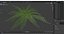 Realistic Fern Plant