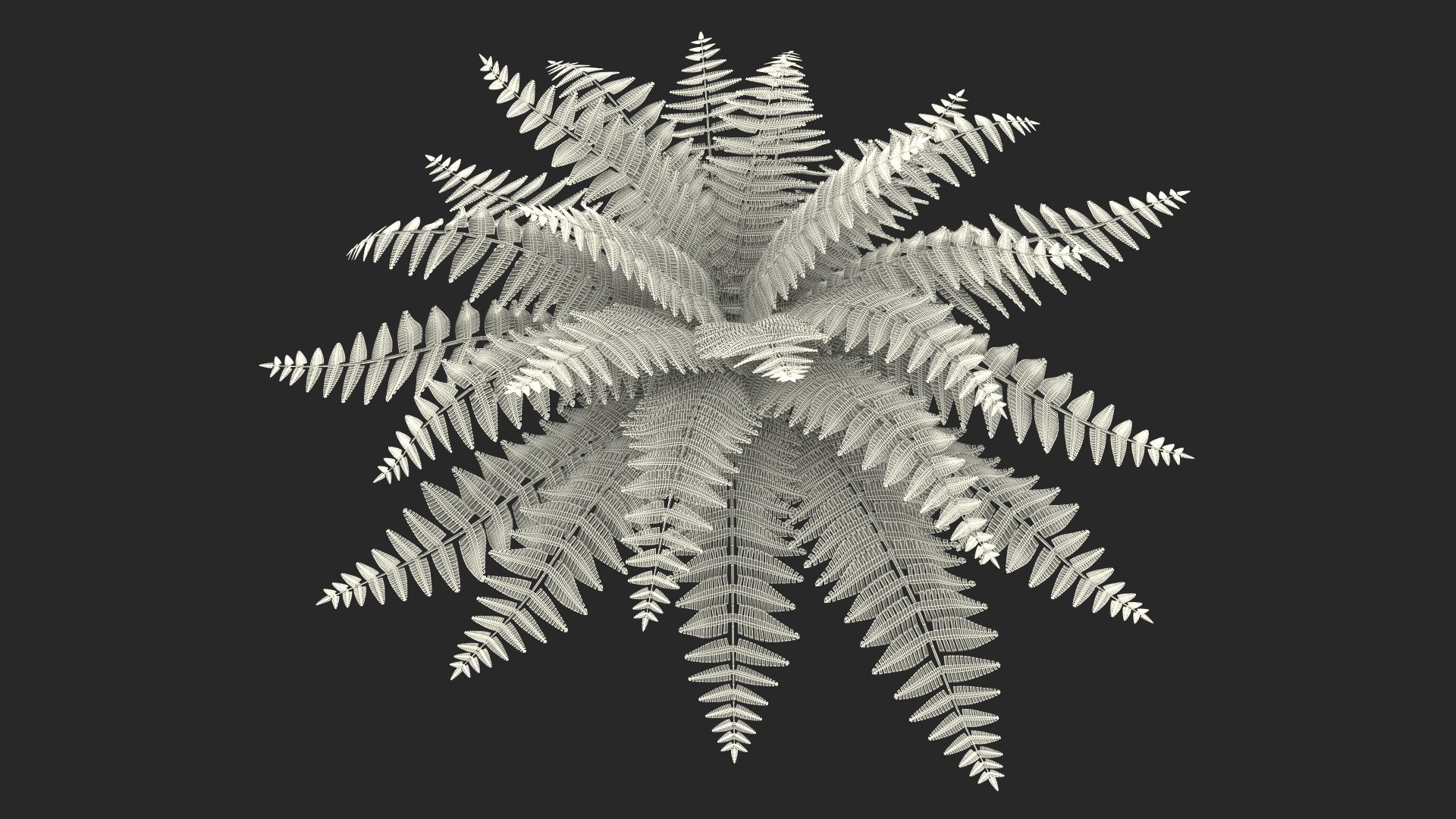 Realistic Fern Plant 3D model https://p.turbosquid.com/ts-thumb/Tt/DOnE1l/Vy/realisticfernplantvray3dmodel018/jpg/1716924027/1920x1080/fit_q87/595f37e24732c63c595ffd074f21934f77ad0b68/realisticfernplantvray3dmodel018.jpg