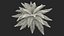 Realistic Fern Plant