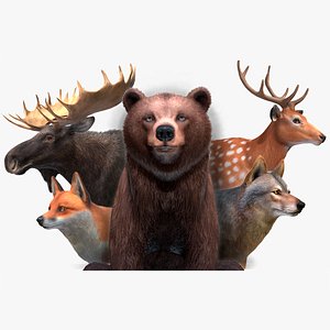 3D model Forest Animals