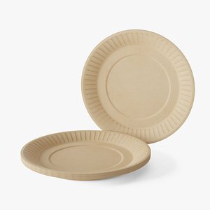 Cardboard Plate