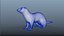 Ferret Rig 