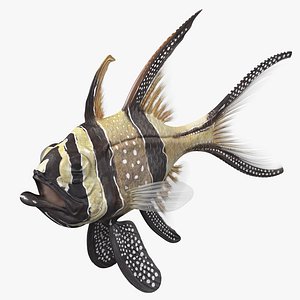 3D Banggai Cardinalfish Rigged for Maya model