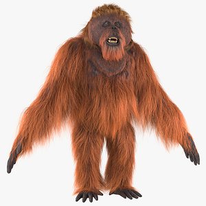 3D Orangutan Rigged Fur