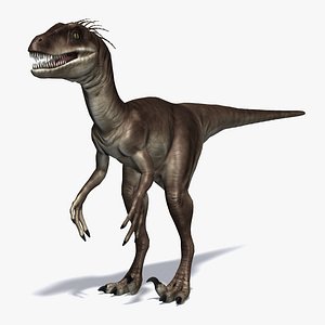 3d raptor carnivore model