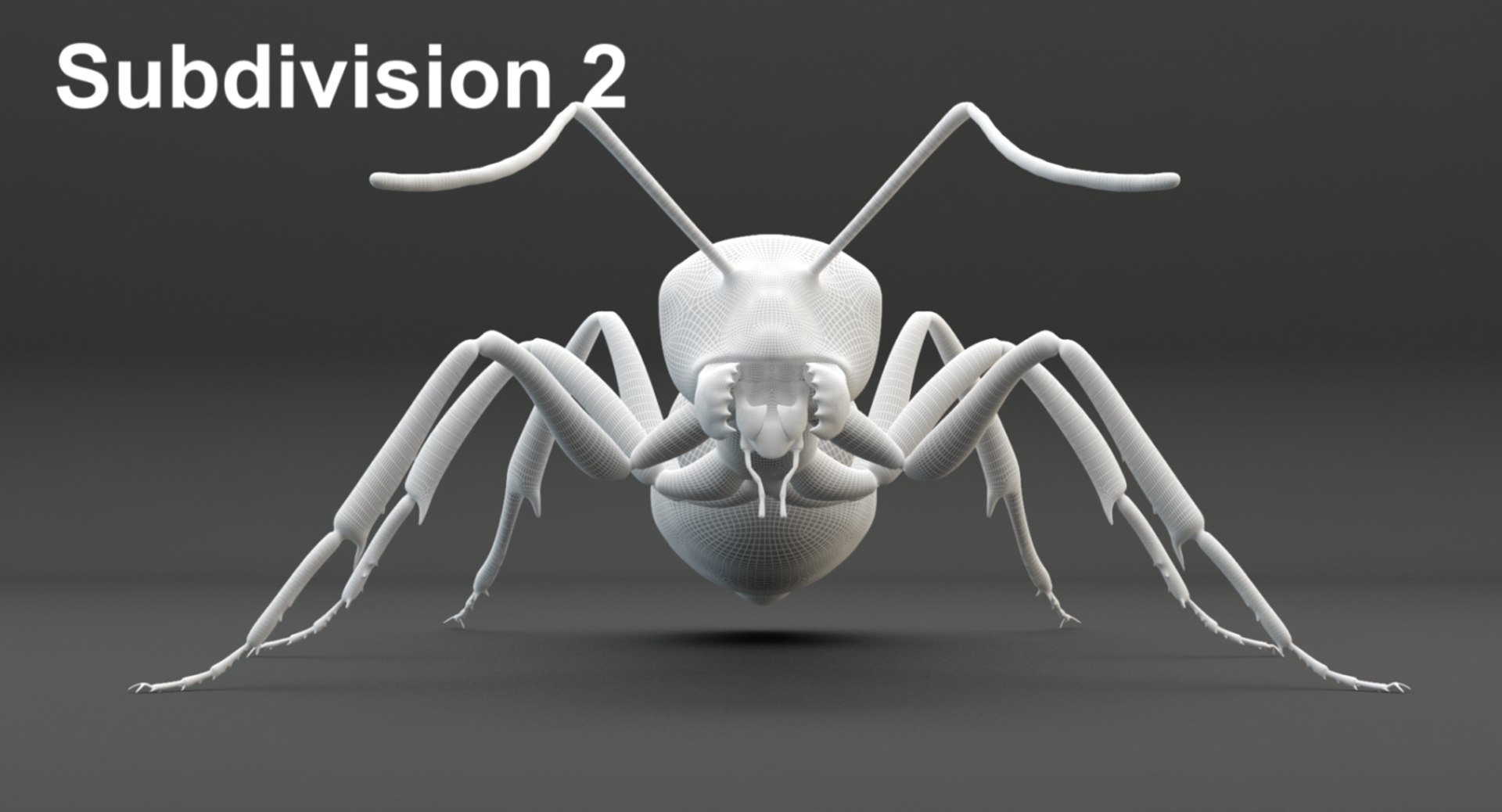 Ant Animation 3D Model - TurboSquid 1337722