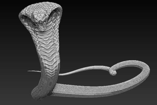 solid cobra 3d model