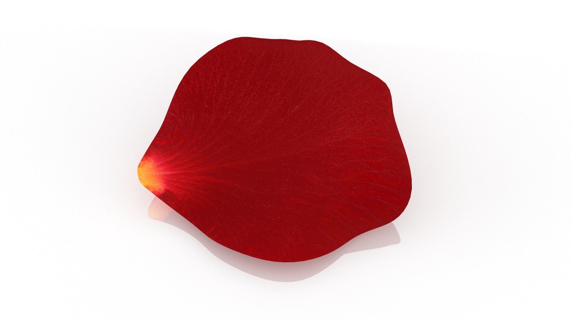 Red rose petal model https://p.turbosquid.com/ts-thumb/Tu/B3HhUS/8g/1/png/1655222210/1920x1080/fit_q87/5d9deac3e029d00e81c79b6e9e367362114ce471/1.jpg