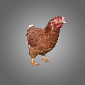 chicken low-poly chick 3d model