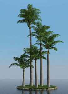 3D XfrogPlants HQPalms 1