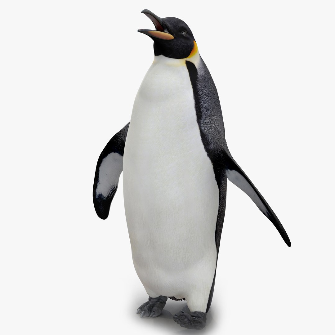 Penguin Walking Pose 3D Model 3D model preview